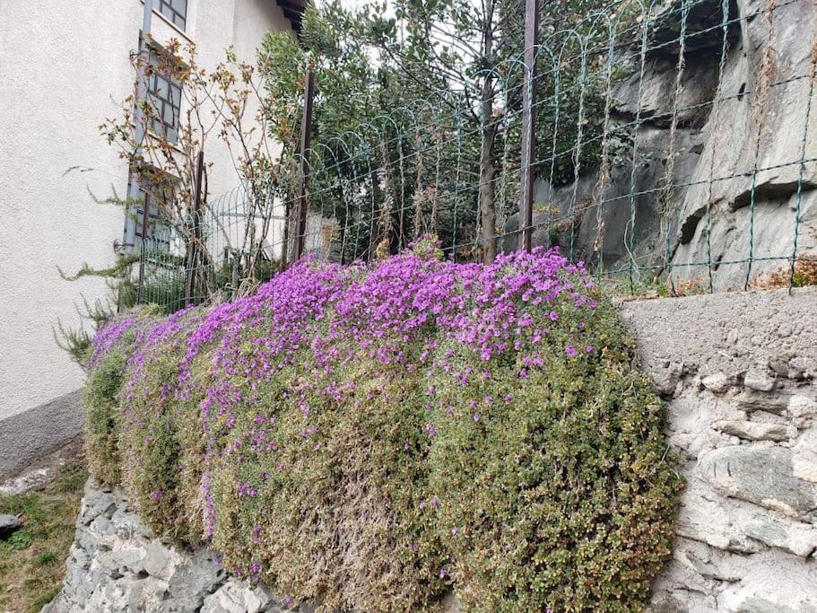 Ormea Nel Cuore Buitenkant foto